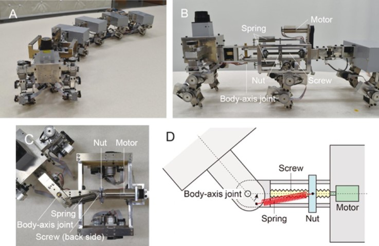 biomimetyczny robot stonoga