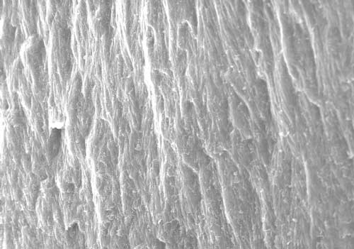 synthetic tooth enamel may lead to more resilient structures