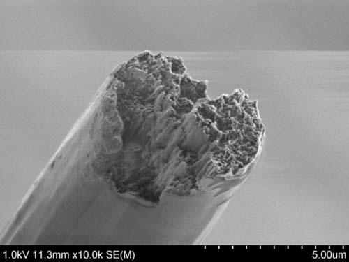 nanowlokna celulozowe